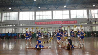 青春活力助燃赛场，管理工程系啦啦队闪耀石家庄科技工程职业学院篮球赛